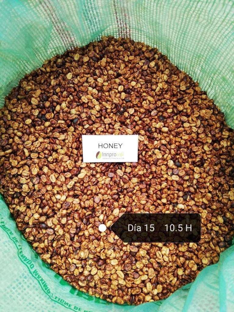 Imagen de la muestra